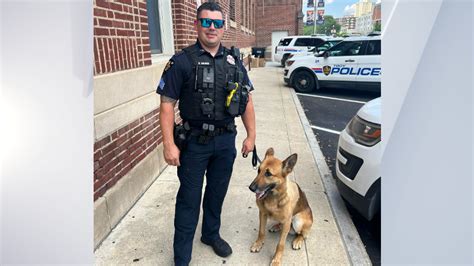 Norbi, Troy Police K9, returns to work after stabbing